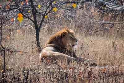 Прикрепленное изображение: D1HUbZ6ZTWI.jpg